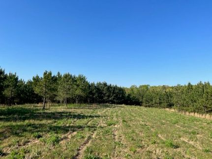 Hunting Land for sale in Gordon County, Georgia