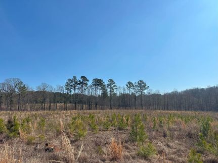 Property for sale in Taliaferro County, Georgia