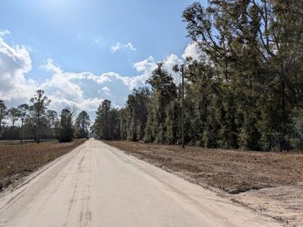 Undeveloped Land for sale in Suwannee County, Florida
