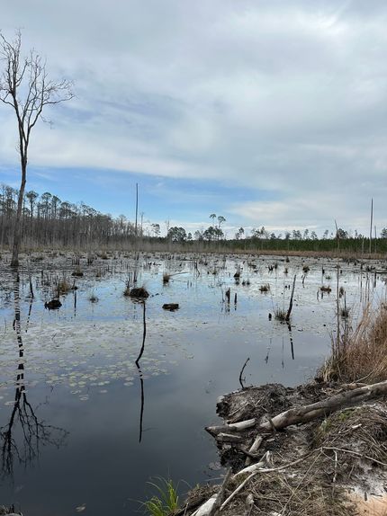 Property for sale in Covington County, Alabama