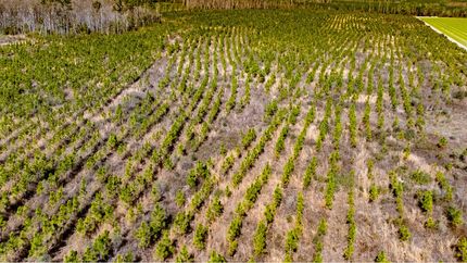 Property for sale in Calhoun County, Florida