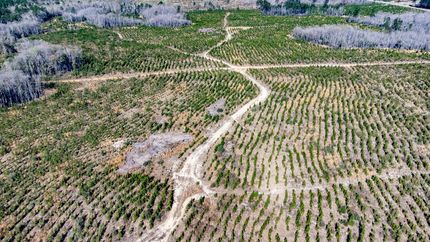 Property for sale in Washington County, Florida