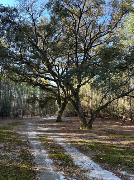 Recreational Property for sale in Covington County, Alabama