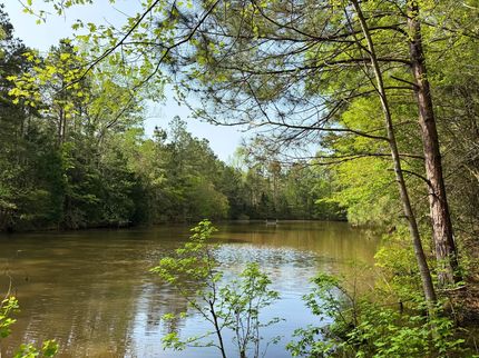 Property for sale in Shelby County, Texas