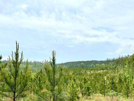 Property for sale in Perry County, Alabama