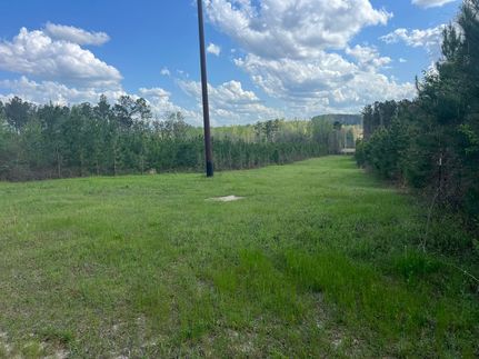 Timberland Property for sale in Barbour County, Alabama