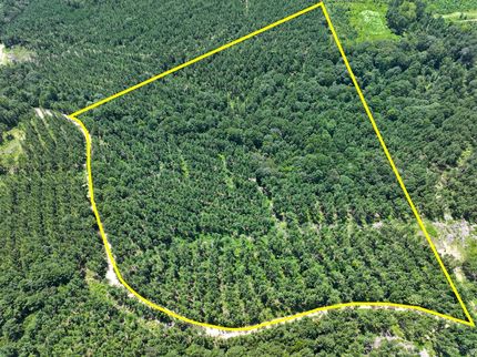 Undeveloped Land for sale in Angelina County, Texas