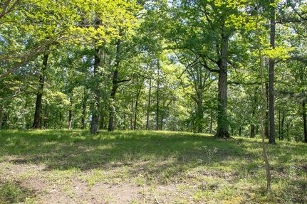 Property for sale in Carroll County, Mississippi