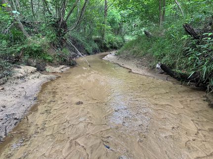 Timberland Property for sale in Bullock County, Alabama