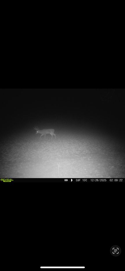 Property for sale in Alcorn County, Mississippi