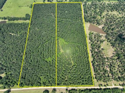 Undeveloped Land for sale in Trinity County, Texas