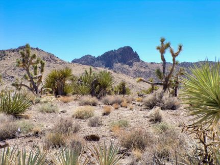 Property for sale in Mohave County, Arizona