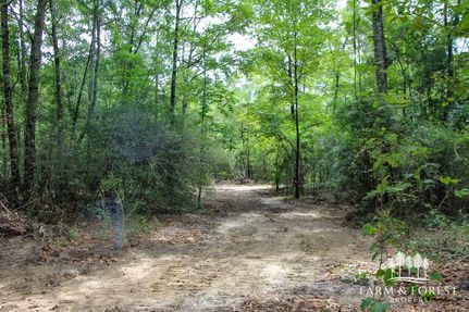 Undeveloped Land for sale in Coffee County, Alabama