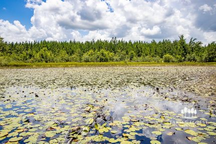 Property for sale in Jackson County, Florida