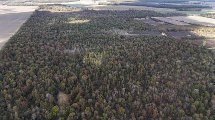 Property for sale in Issaquena County, Mississippi