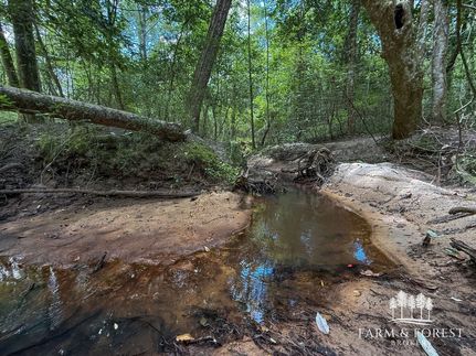 Property for sale in Coffee County, Alabama