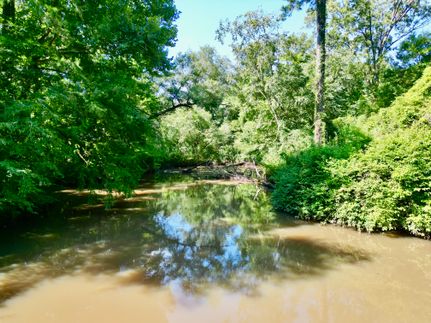 Hunting Land for sale in Pike County, Alabama