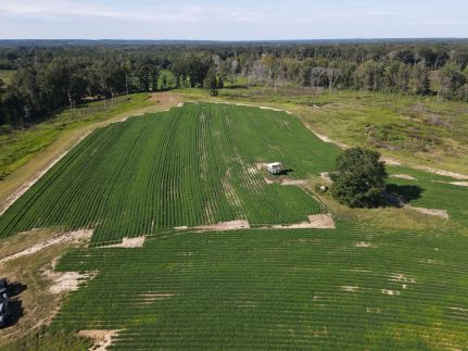 Property for sale in Pike County, Alabama