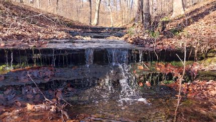 Property for sale in Wayne County, Tennessee