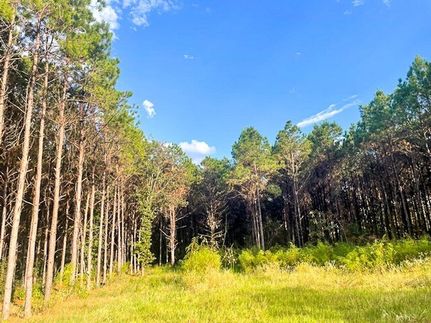 Hunting Land for sale in Polk County, Texas