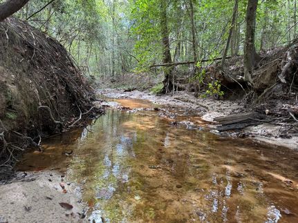 Timberland Property for sale in Coffee County, Alabama