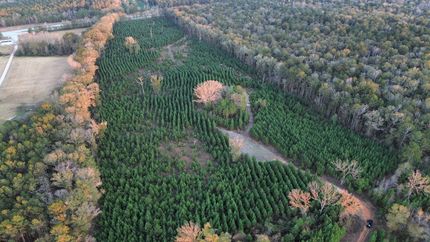 Undeveloped Land for sale in Russell County, Alabama