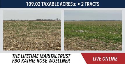 Property for sale in Greene County, Illinois