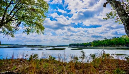 Undeveloped Land for sale in Camden County, Georgia