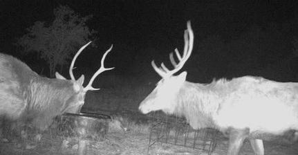 Ranch Property for sale in Edwards County, Texas