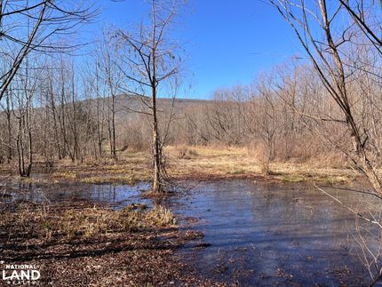 Hunting Land for sale in Jackson County, Alabama
