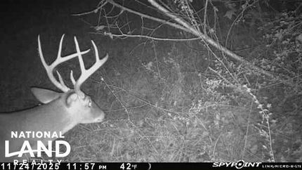 Riverfront Property for sale in Dallas County, Alabama