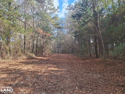 Undeveloped Land for sale in Crenshaw County, Alabama