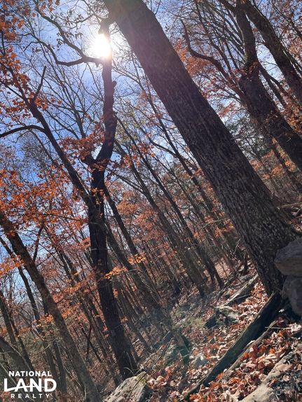 Property for sale in DeKalb County, Alabama