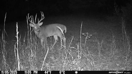 Recreational Property for sale in Jefferson County, Illinois