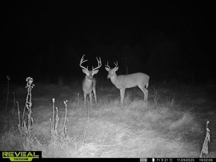 Property for sale in Meigs County, Ohio