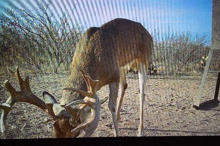 Property for sale in Zavala County, Texas