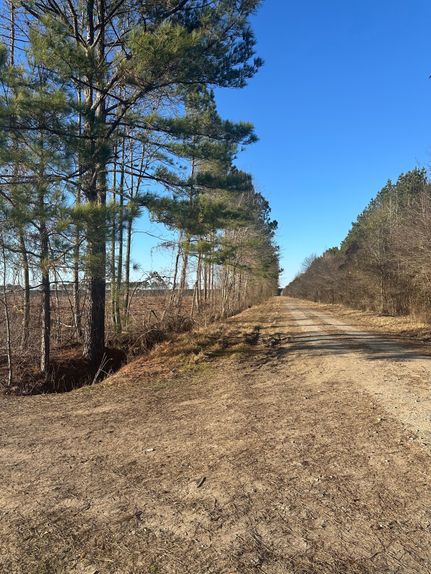 Undeveloped Land for sale in Pitt County, North Carolina