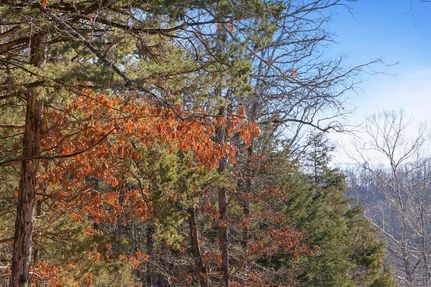 Property for sale in Taney County, Missouri