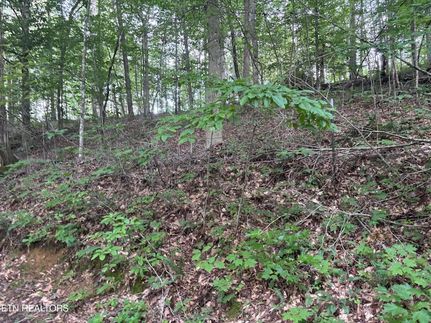 Property for sale in Scott County, Tennessee