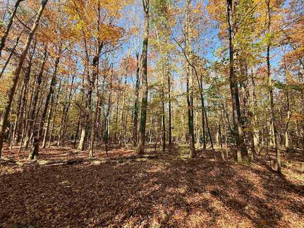 Property for sale in Orleans County, Vermont