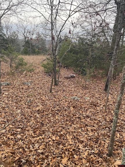 Undeveloped Land for sale in Marion County, Arkansas