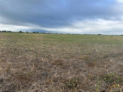 Property for sale in Pemiscot County, Missouri