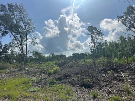 Property for sale in Dorchester County, South Carolina