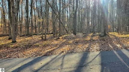 Property for sale in Mecosta County, Michigan