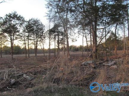 Property for sale in Marshall County, Alabama