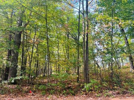Undeveloped Land for sale in Newaygo County, Michigan
