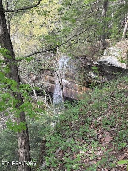 Property for sale in DeKalb County, Tennessee