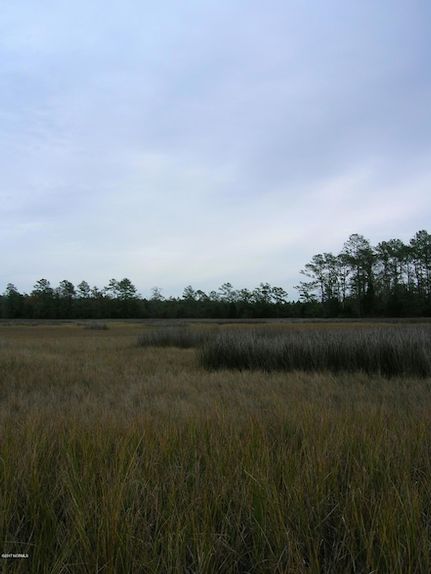 Undeveloped Land for sale in Carteret County, North Carolina
