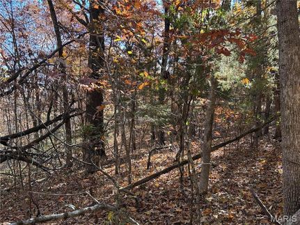 Property for sale in Washington County, Missouri