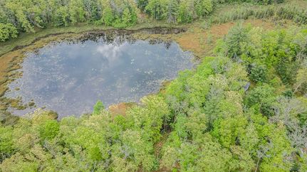 Property for sale in Lake County, Michigan